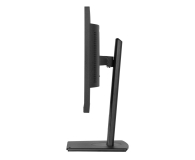 IIYAMA ProLite XUB2497HSU-B2 - 1284774 - zdjęcie 8